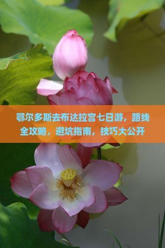 鄂尔多斯去西藏布达拉宫七日游 鄂尔多斯去西藏布达拉宫七日游