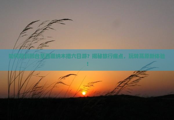 邢台到西藏纳木措六日游