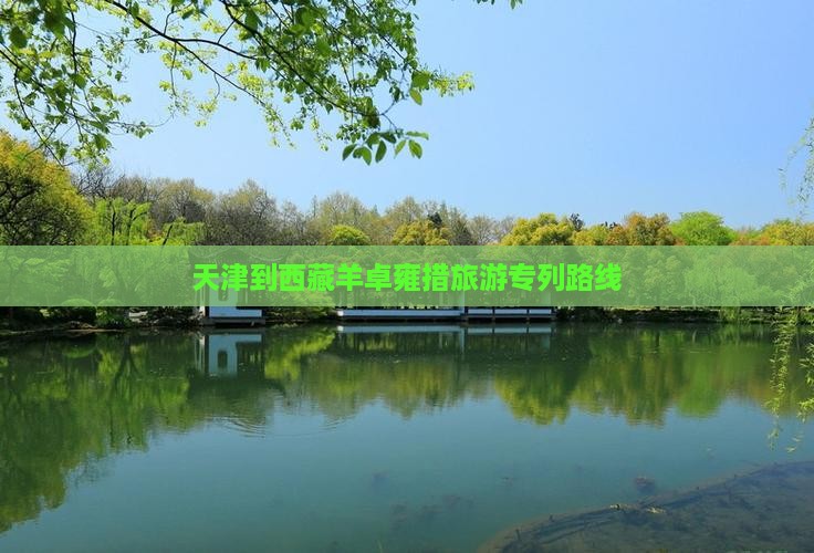 天津到西藏羊卓雍措旅游