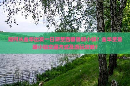 金华到西藏鲁朗小镇一日