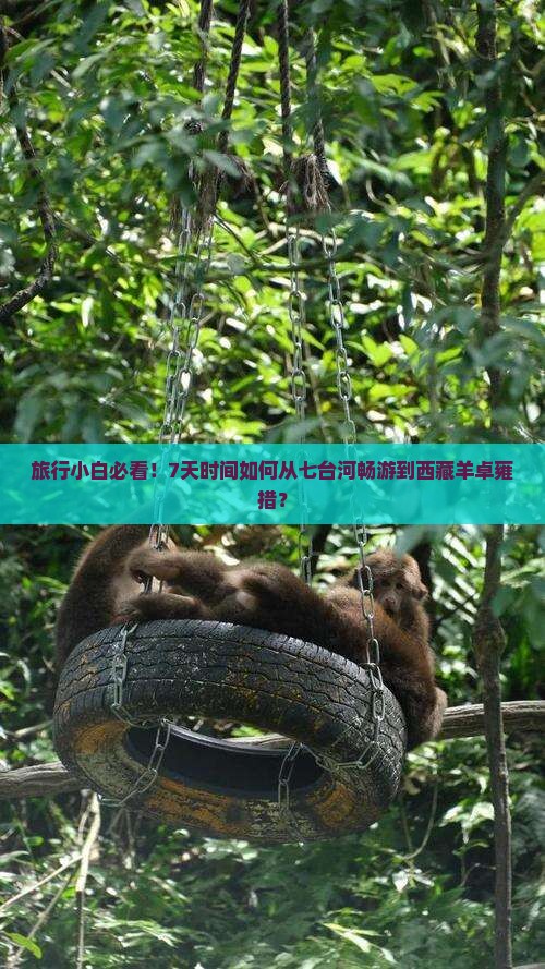 七台河去西藏羊卓雍措六日游