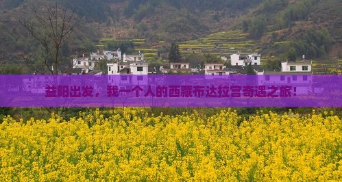 益阳去西藏布达拉宫个人游