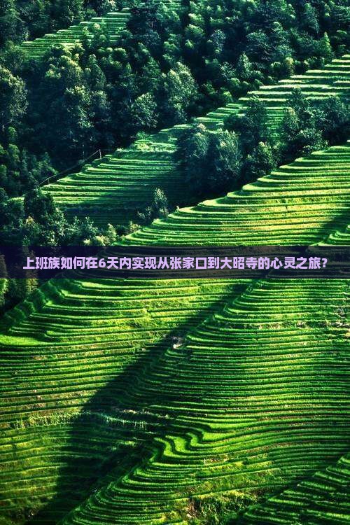 张家口去西藏大昭寺六日游
