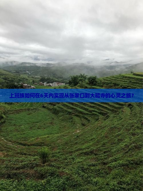 张家口去西藏大昭寺六日游
