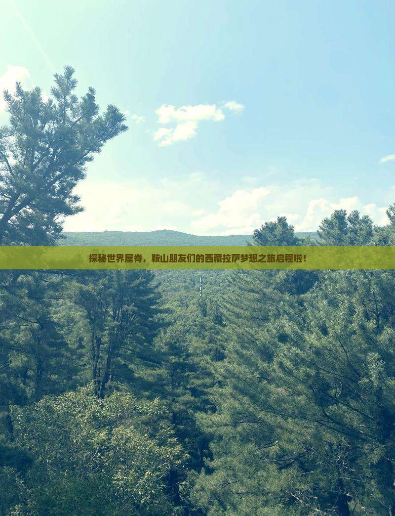 鞍山去西藏拉萨大型旅游团