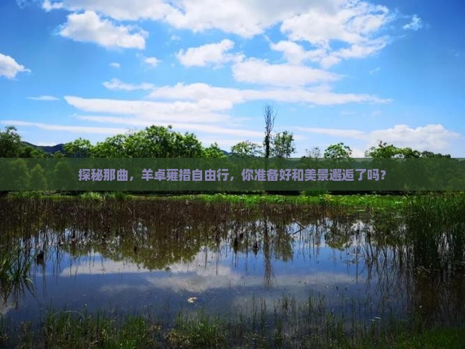 那曲到西藏羊卓雍措自由团