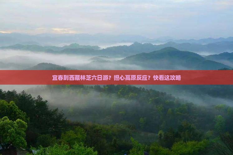 宜春去西藏林芝六日游