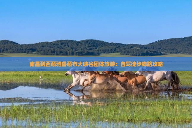 南昌到西藏雅鲁藏布大峡谷团体旅游