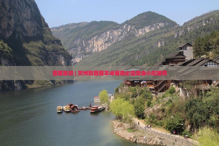 贺州到西藏羊卓雍措旅游小吃