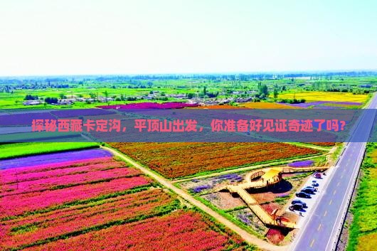 平顶山到西藏卡定沟旅行社