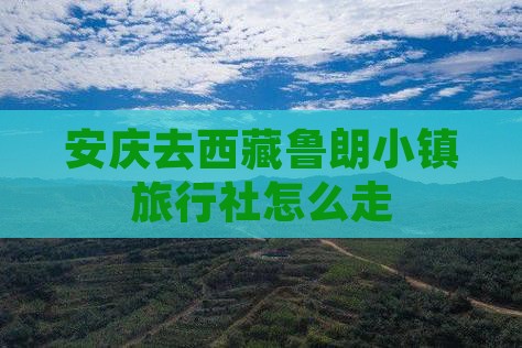 安庆去西藏鲁朗小镇旅行社
