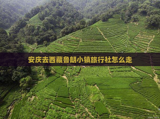 安庆去西藏鲁朗小镇旅行社
