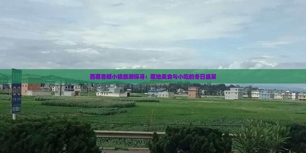 冬天去西藏鲁朗小镇旅游小吃