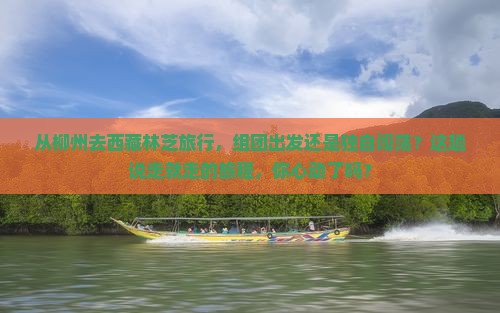 柳州到西藏林芝团体旅游