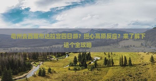 亳州去西藏布达拉宫四日游 亳州去西藏布达拉宫四日游