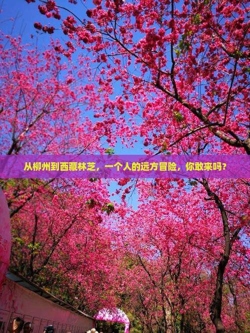 柳州到西藏林芝个人游