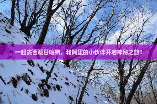 阿里去西藏日喀则团体旅游 阿里去西藏日喀则团体旅游