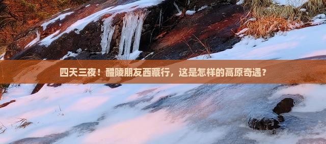 醴陵去西藏四日游