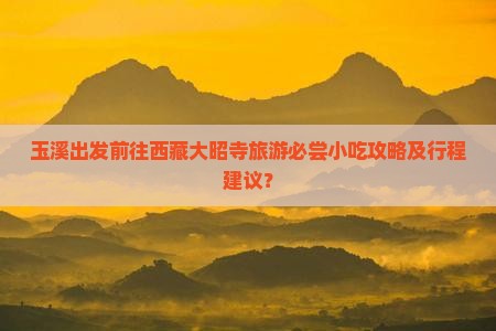 玉溪去西藏大昭寺旅游小吃
