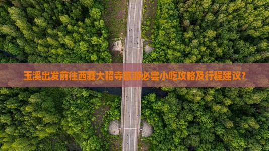 玉溪去西藏大昭寺旅游小吃