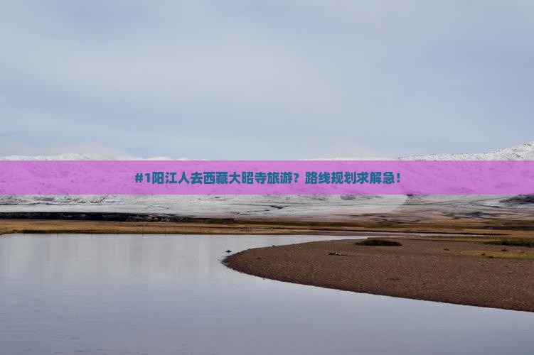 阳江到西藏大昭寺哪里玩