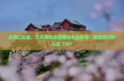 海口去西藏纳木措三日游