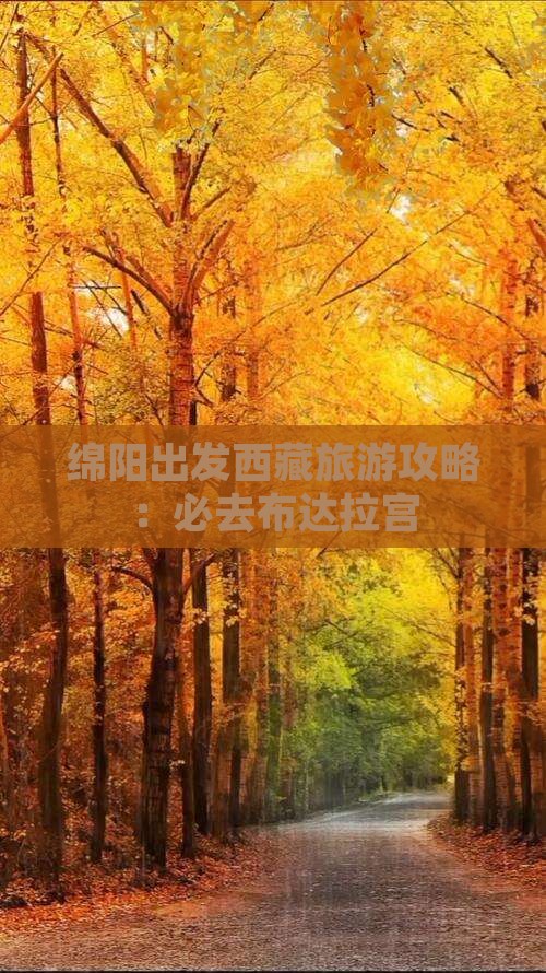 绵阳到西藏布达拉宫必去地