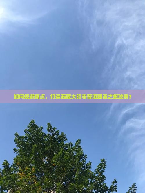普洱去西藏大昭寺攻略