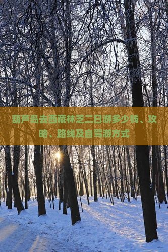 葫芦岛去西藏林芝二日游 葫芦岛去西藏林芝二日游