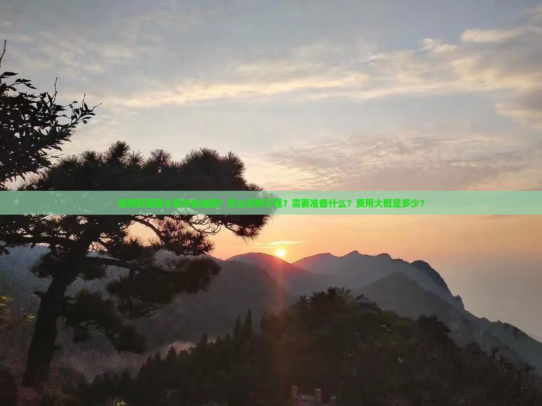 陇南到西藏大昭寺自由团