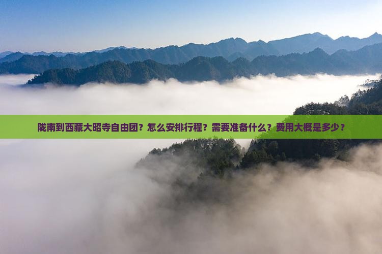 陇南到西藏大昭寺自由团