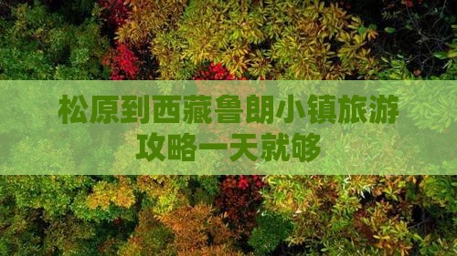 松原去西藏鲁朗小镇一日
