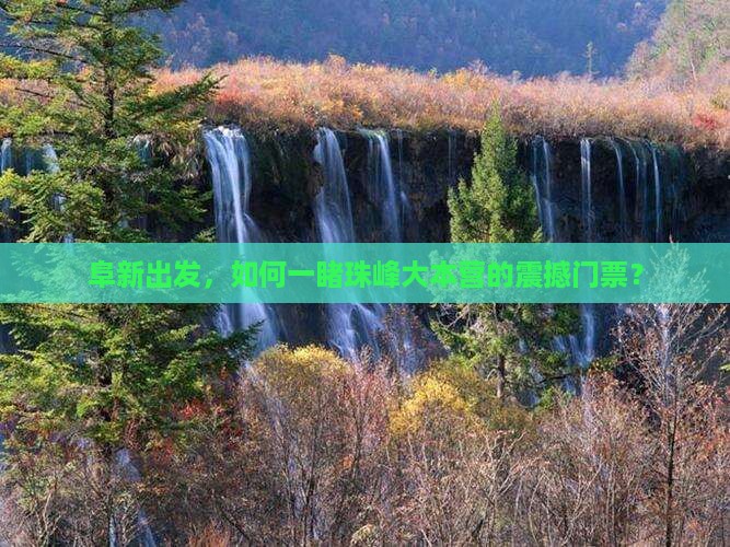 阜新到西藏珠峰大本营门票