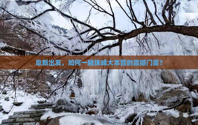 阜新到西藏珠峰大本营门票