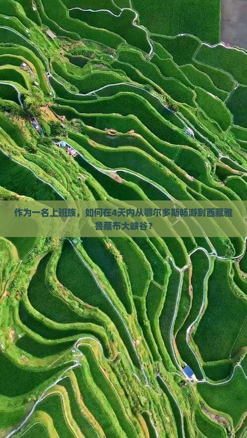 鄂尔多斯去西藏雅鲁藏布大峡谷四日游