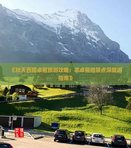 秋天去西藏羊卓雍措景点