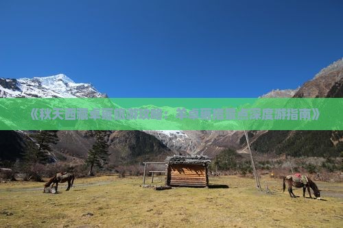 秋天去西藏羊卓雍措景点
