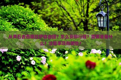 黄石去西藏拉萨自由团