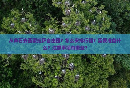 黄石去西藏拉萨自由团