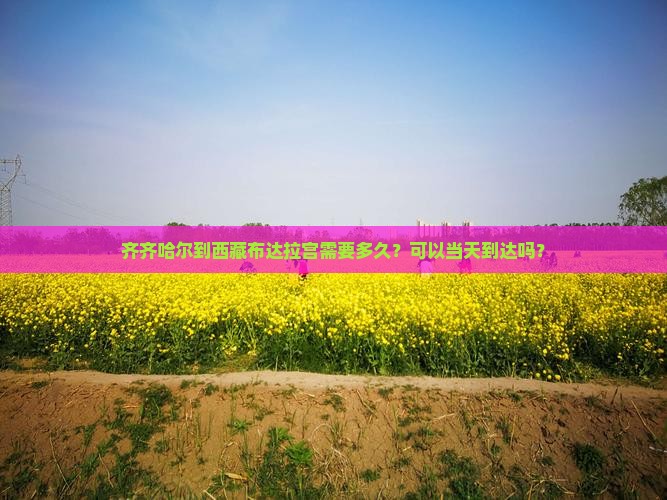 齐齐哈尔到西藏布达拉宫一日