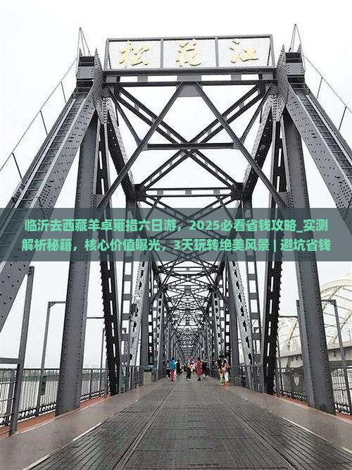 临沂去西藏羊卓雍措六日游