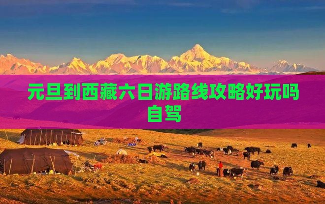 元旦到西藏六日游