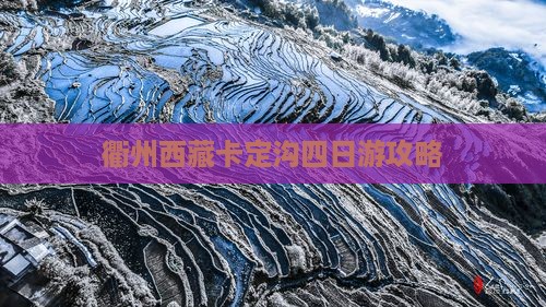 衢州去西藏卡定沟四日游