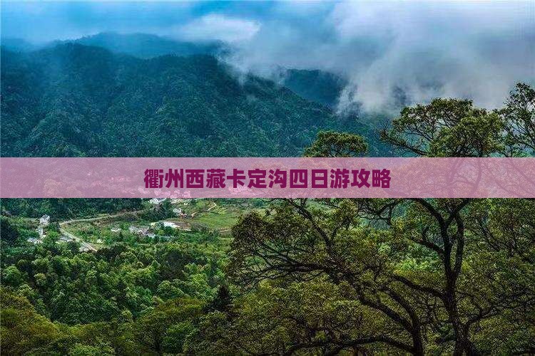 衢州去西藏卡定沟四日游