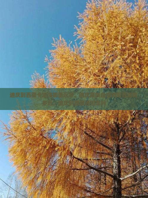 迪庆到西藏卡定沟哪里玩