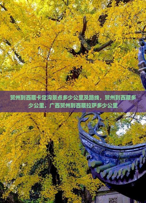 贺州到西藏卡定沟景点