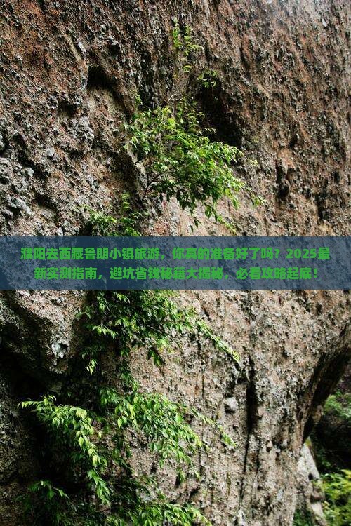 濮阳去西藏鲁朗小镇旅游