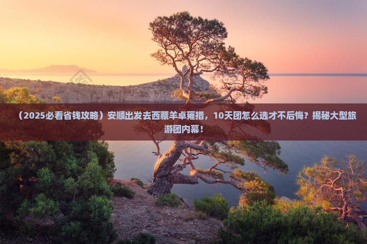 安顺去西藏羊卓雍措大型旅游团