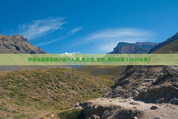伊春去西藏鲁朗小镇个人游