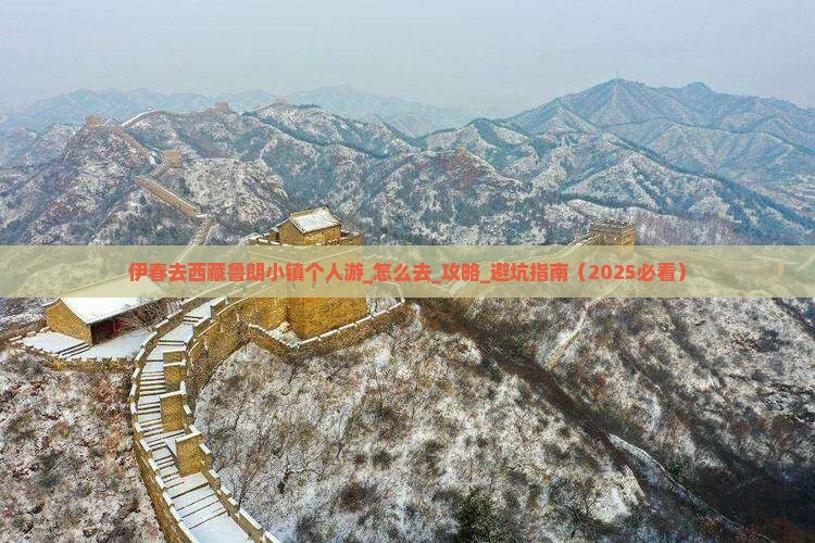 伊春去西藏鲁朗小镇个人游